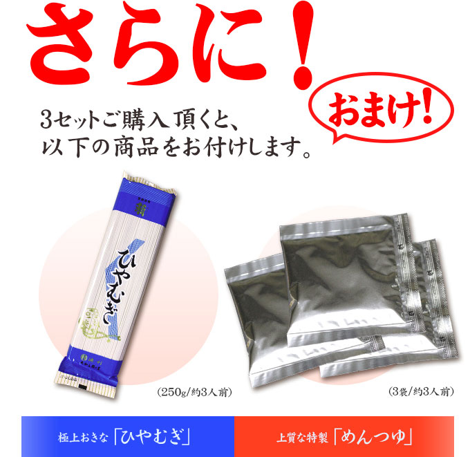 さらにおまけ